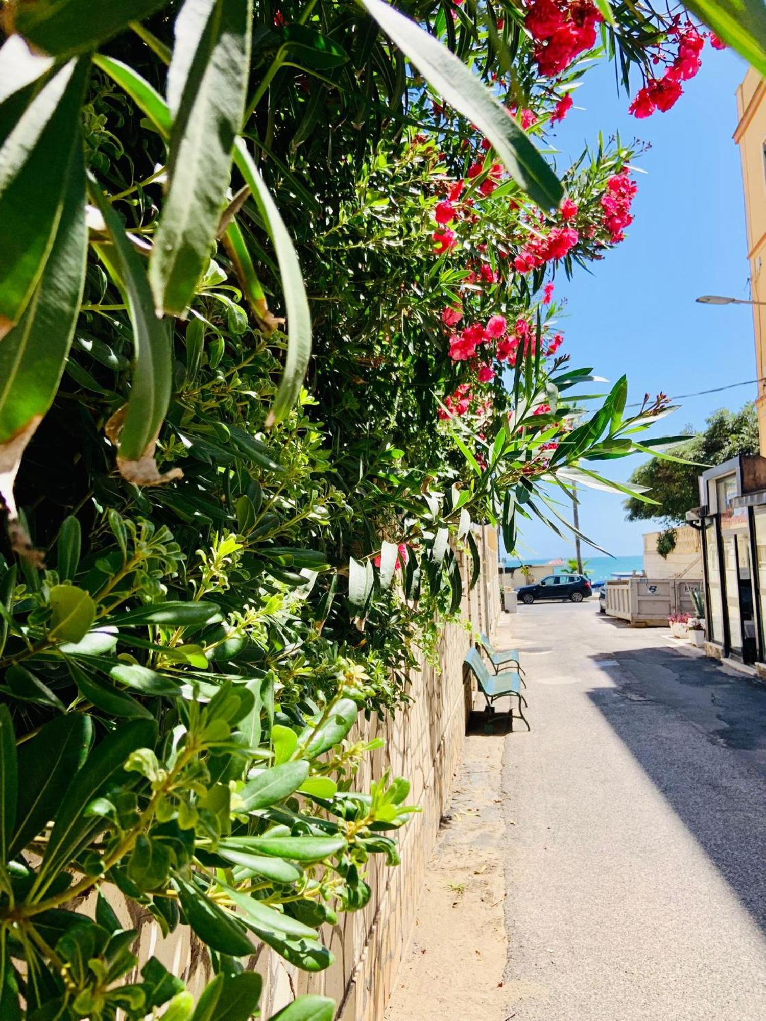 La Casina Sul Porto Apartamento Anzio Exterior foto
